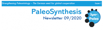 Towards entry "1st Paleosynthesis Newsletter"