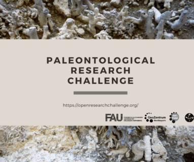 Towards entry "Open Research Challenge at the FAU"