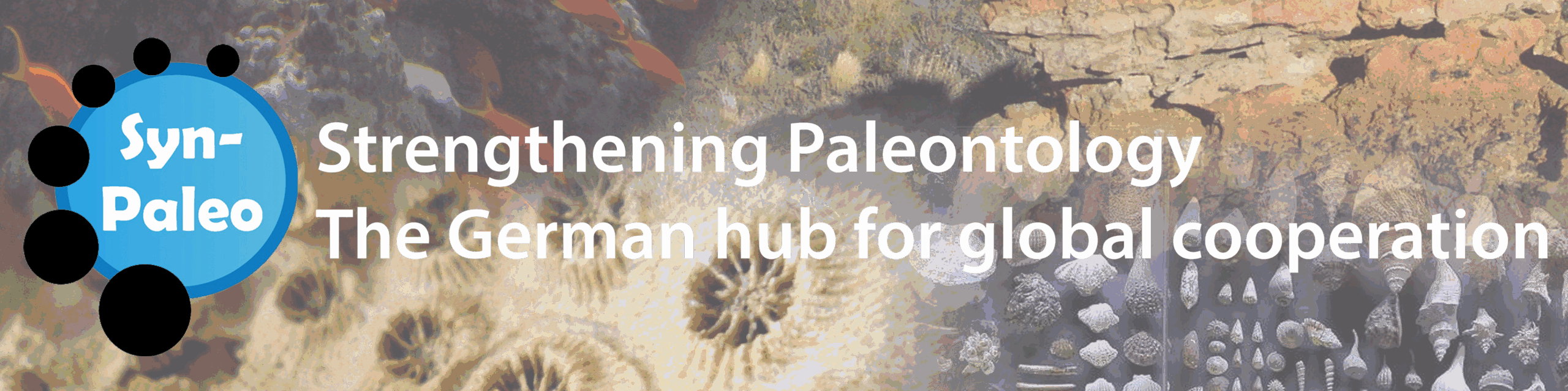 banner of homepage with icon on the left and blurred images of corals, fish, fossils and an outcrop