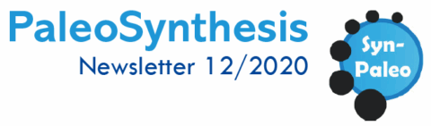 Towards entry "Newsletter 12/2020"