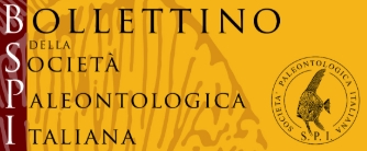 Towards entry "Taphonomy and sedimentary environment of the eocene siliceous sponge"