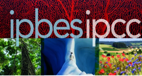 Towards entry "Biodiversity and climate change"