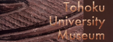 Towards entry "Virgilian (Late Pennsylvanian) coiled nautiloids from the Finis Shale Member"