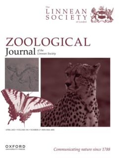 Zum Artikel "Finding the world’s oldest mammals"