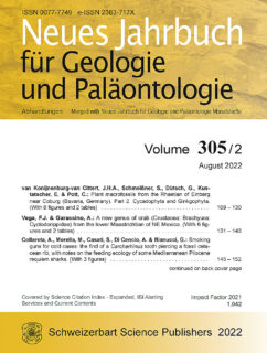 Zum Artikel "Plant macrofossils from the Rhaetian"