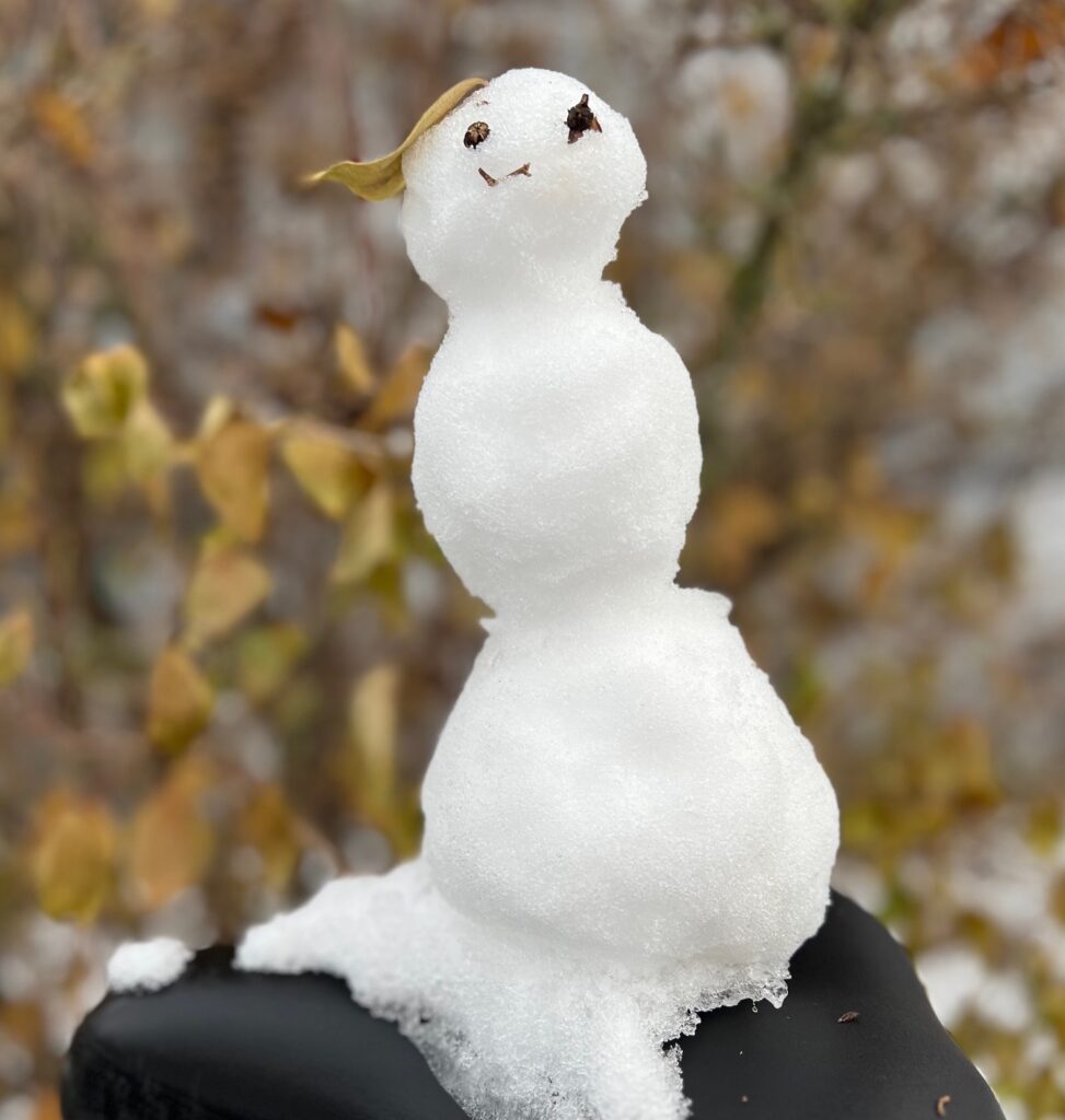 melting snowman