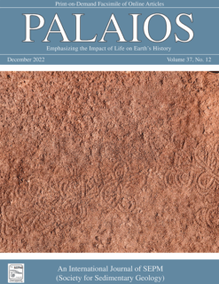 Zum Artikel "A fossil forest from Italy"