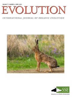 Zum Artikel "Shared patterns of segment size development"