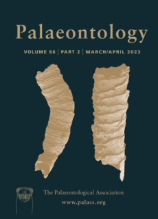 Zum Artikel "The locomotor ecomorphology"