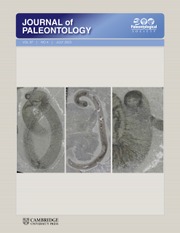 Zum Artikel "Slit-bearing gastropods in the Jane Longstaff Collection"