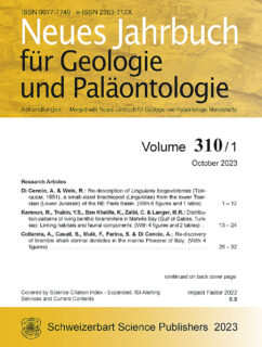 Zum Artikel "Plant macrofossils from the Rhaetian of Einberg"