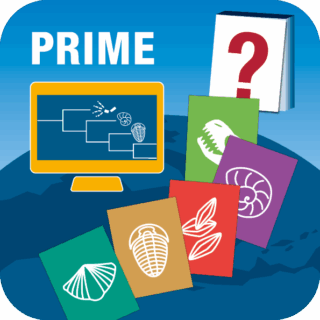 Zum Artikel "PRIME workshop to start"