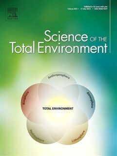 Zum Artikel "Quantifying abrasion of microplastics"