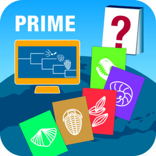 Zum Artikel "PRIME workshop to start"