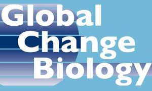 Towards entry "Look beyond 2100"